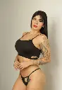 SET 3426
